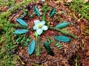 Natur-Mandala