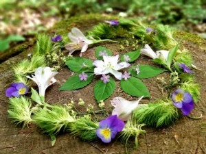 Natur-Mandala